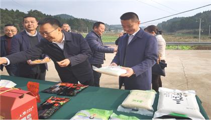 市委常委、政法委書記劉波濤帶隊(duì)調(diào)研指導(dǎo)定點(diǎn)幫扶村鄉(xiāng)村振興工作